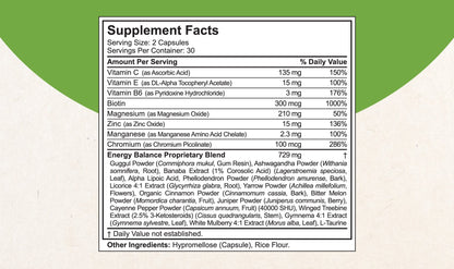 Blood Sugar - Advanced Formula with Bitter Melon, Ashwagandha, Cinnamon, Chromium, Magnesium, Vitamins, Alpha Lipoic Acid, Cayenne Pepper & More - dailyvitalstore