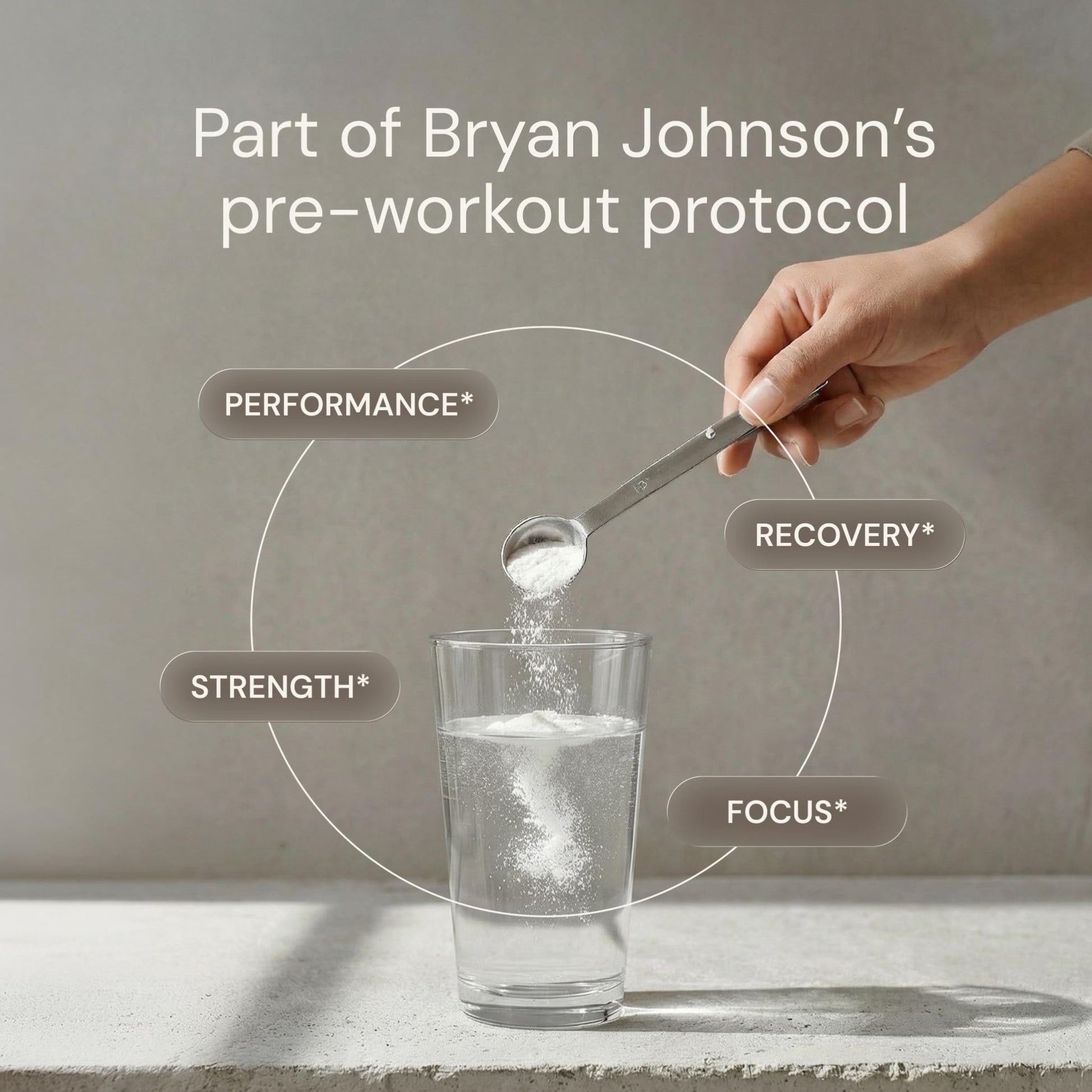 Blueprint Bryan Johnson Creatine Monohydrate Powder – Amino Acid Powder - Supplement Supports Muscle Growth, Recovery, Strength & Focus – Unflavored Creatine for Women & Men – 5g Dose – 100 Servings - dailyvitalstore