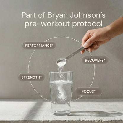 Blueprint Bryan Johnson Creatine Monohydrate Powder – Amino Acid Powder - Supplement Supports Muscle Growth, Recovery, Strength & Focus – Unflavored Creatine for Women & Men – 5g Dose – 100 Servings - dailyvitalstore