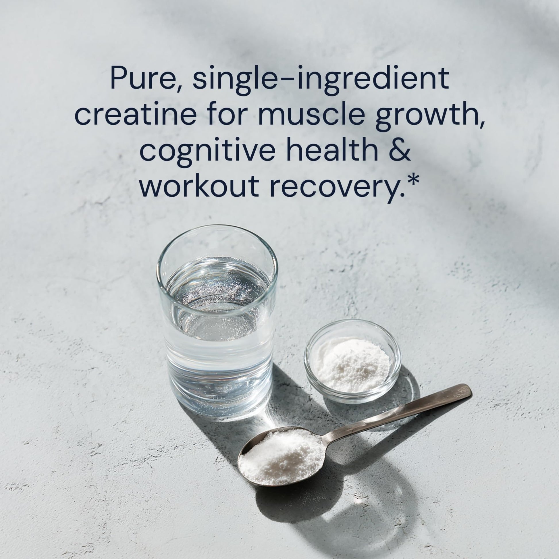 Blueprint Bryan Johnson Creatine Monohydrate Powder – Amino Acid Powder - Supplement Supports Muscle Growth, Recovery, Strength & Focus – Unflavored Creatine for Women & Men – 5g Dose – 100 Servings - dailyvitalstore