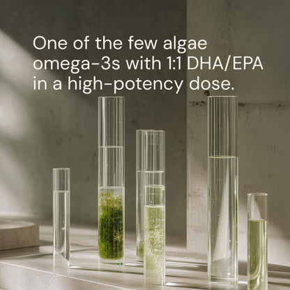 Blueprint Bryan Johnson Omega-3 - Vegan Algae Omega 3 Supplement with EPA/DHA - 800mg Plant-Based for Brain, Heart & Joint Support - High Absorption Triglyceride Form - 1:1 EPA/DHA - dailyvitalstore