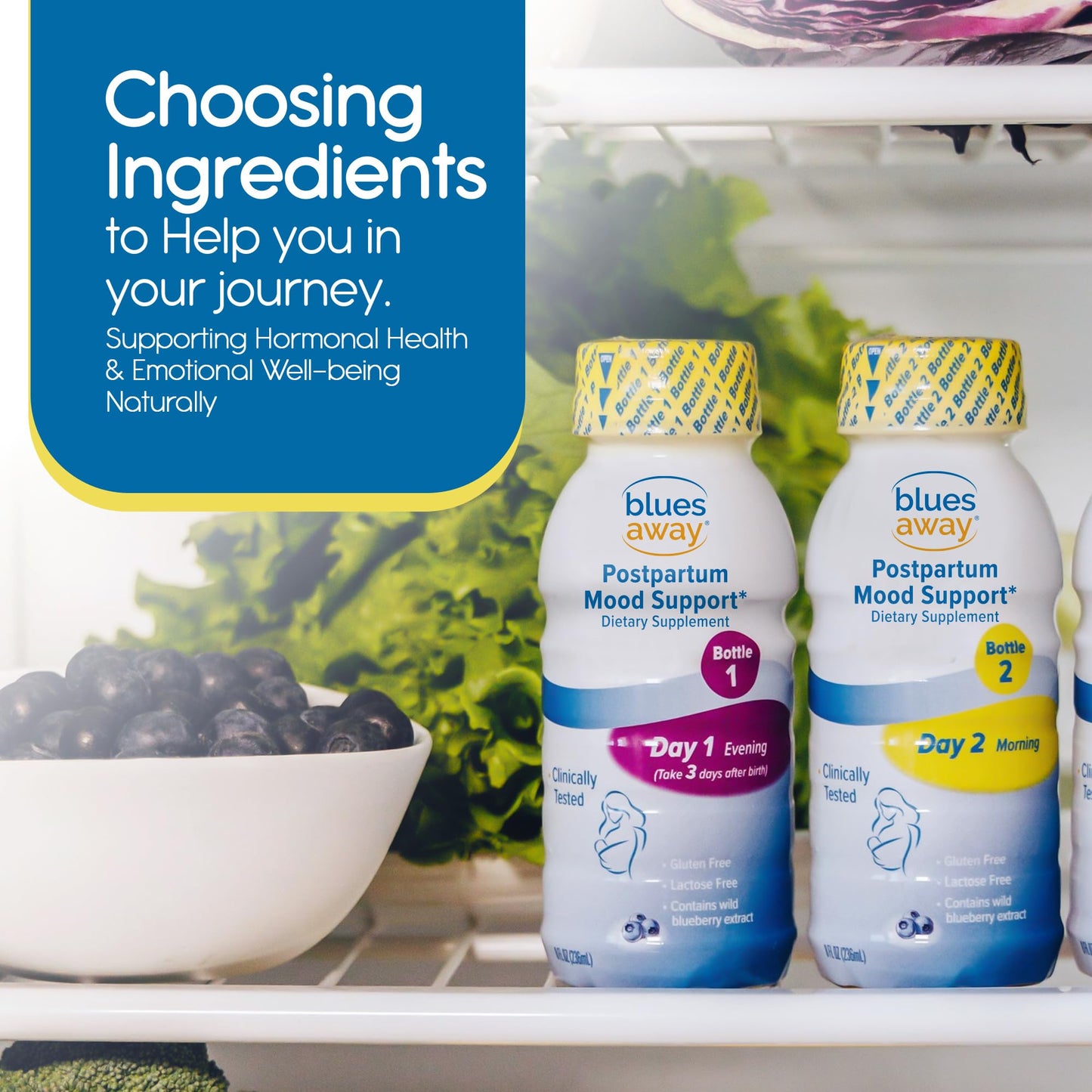 Blues Away Postpartum Mood Support Drink - Breastfeeding Friendly Postnatal Hormone Balance for Women - 3-Day Liquid Dietary Stress Support Shake [4 Bottles] - dailyvitalstore