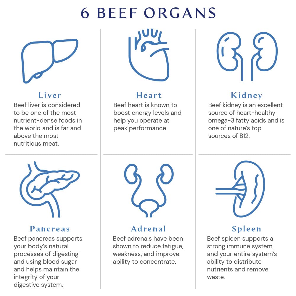 BodyHealth Organ+ Grass-Fed Glandular Organ Complex, Grassfed Beef Organ Supplement, Dessicated Beef Liver, Heart, Kidney, Pancreas, Spleen, Non GMO, Adrenal, Supplement, (150 Capsules) - dailyvitalstore