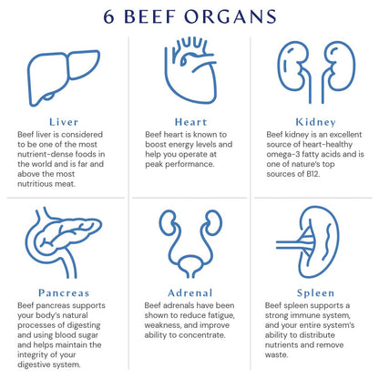 BodyHealth Organ+ Grass-Fed Glandular Organ Complex, Grassfed Beef Organ Supplement, Dessicated Beef Liver, Heart, Kidney, Pancreas, Spleen, Non GMO, Adrenal, Supplement, (150 Capsules) - dailyvitalstore