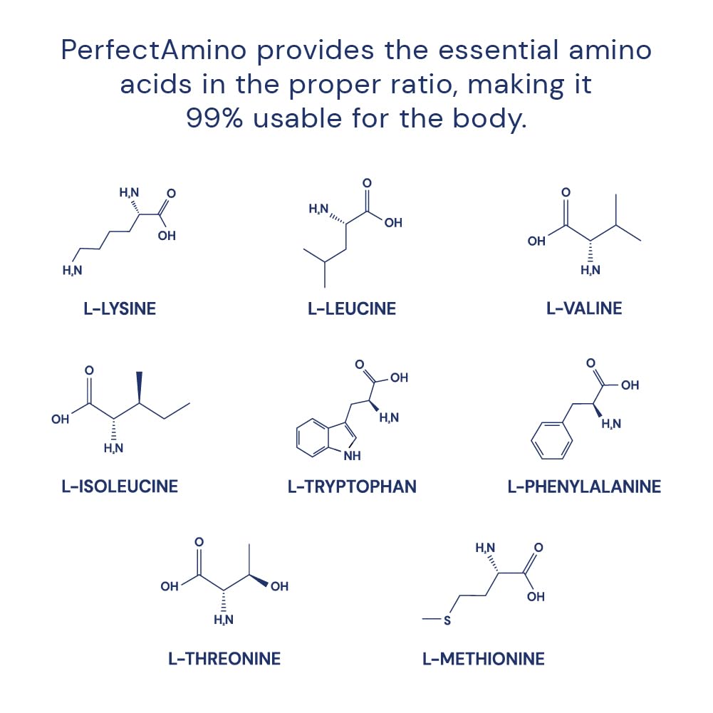 BodyHealth PerfectAmino (150 ct) Easy to Swallow Tablets, Essential Amino Acids Supplement with BCAAs, Vegan Protein for Pre/Post Workout & Muscle Recovery with Lysine, Tryptophan, Leucine, Methionine - dailyvitalstore