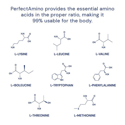 BodyHealth PerfectAmino (150 ct) Easy to Swallow Tablets, Essential Amino Acids Supplement with BCAAs, Vegan Protein for Pre/Post Workout & Muscle Recovery with Lysine, Tryptophan, Leucine, Methionine - dailyvitalstore