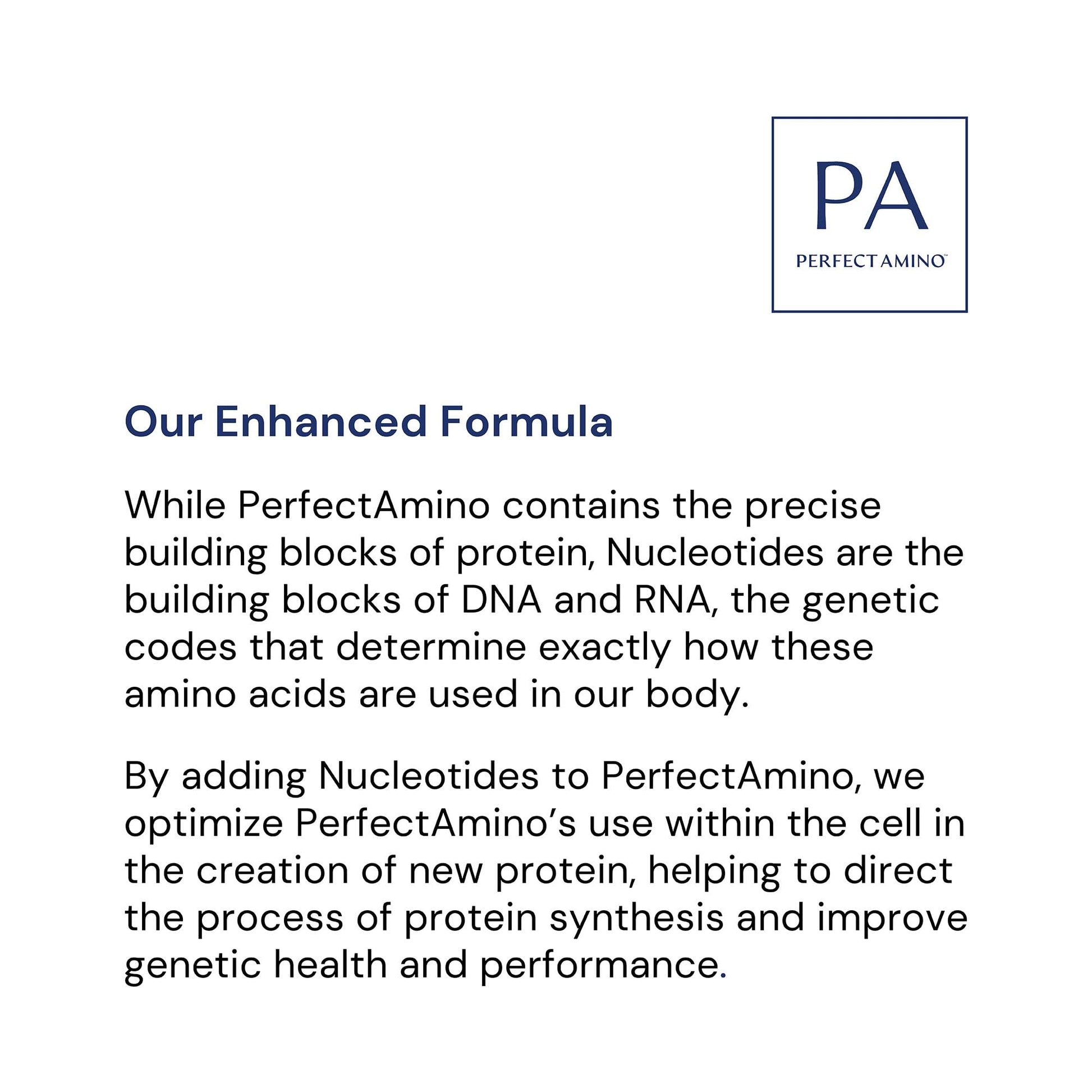 BodyHealth Probiotic Enhanced with PerfectAmino for Women and Men, Spore Based with Bifidobacterium, Lactobacillus Salivarius, - dailyvitalstore