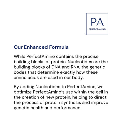 BodyHealth Probiotic Enhanced with PerfectAmino for Women and Men, Spore Based with Bifidobacterium, Lactobacillus Salivarius, - dailyvitalstore