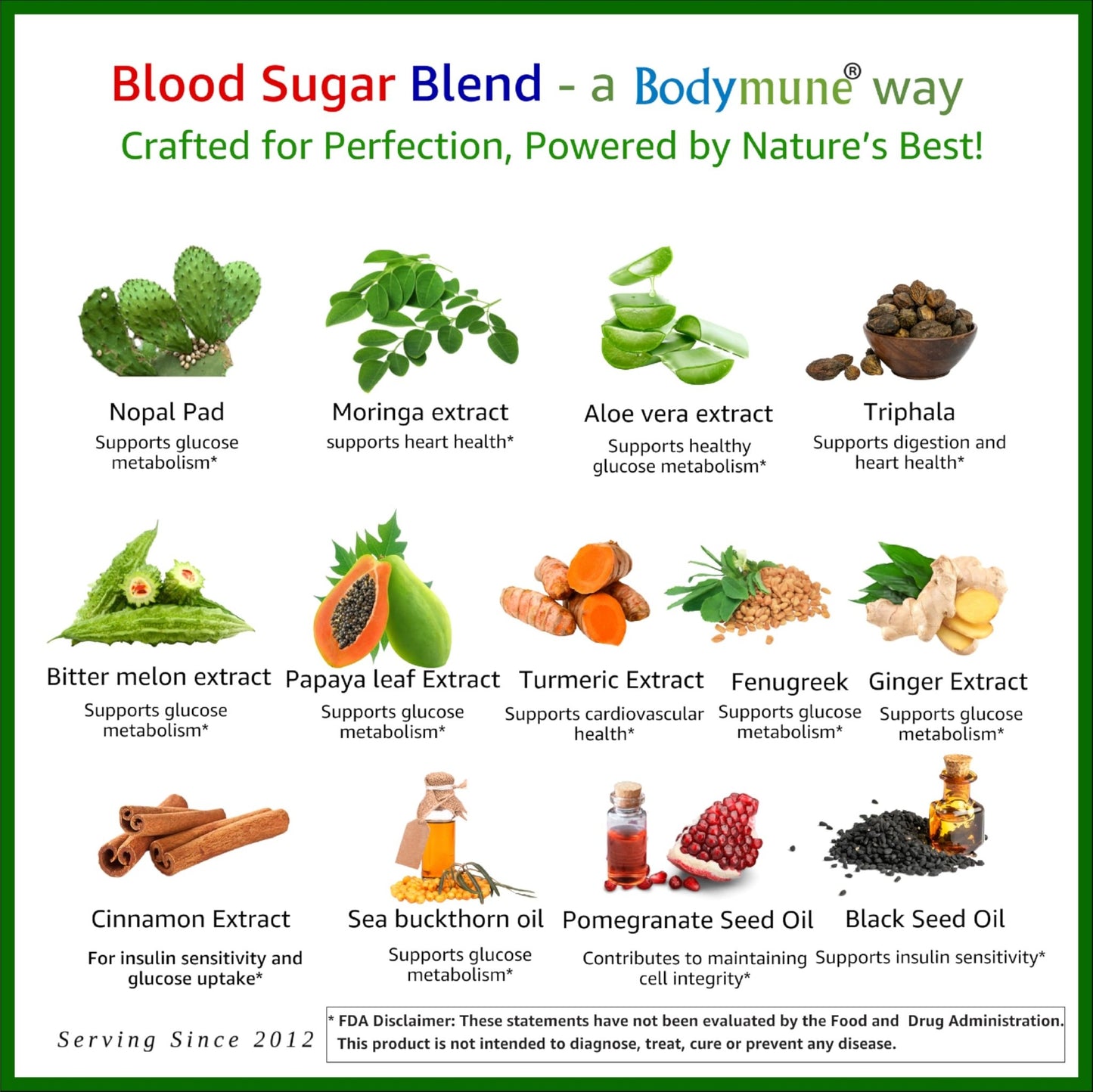 Bodymune Blood Sugar Blend – Organic Blood Sugar Support Supplement – with Bitter Melon Capsules, Moringa, & Black Seed Oil – 33 Capsules - dailyvitalstore