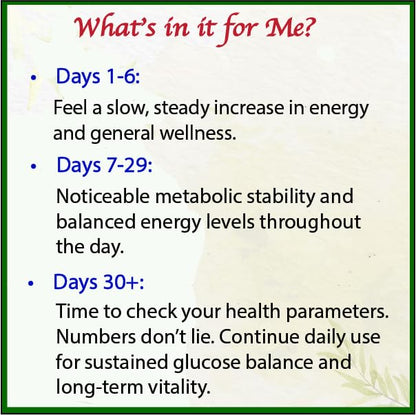 Bodymune USDA Organic Blood Sugar Blend | Supports Healthy Metabolism* | with Bitter Melon, Moringa, Aloe Vera, Nopal, Papaya Extracts & More | 60-Day Supply | Vegan & Non-GMO | USA-Made - dailyvitalstore