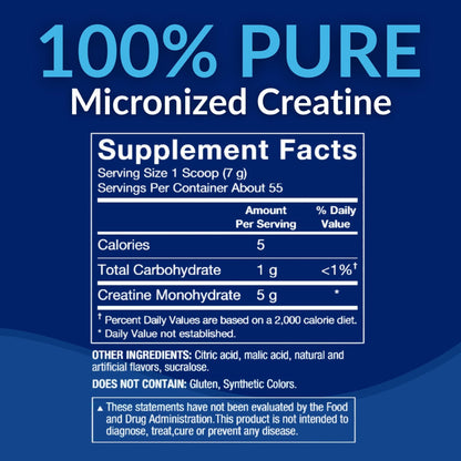 BodyTech 100% Pure Creatine Monohydrate Powder - Micronized for Maximum Absorption - Supports Muscle Strength & Power Output - dailyvitalstore