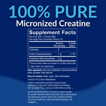 BodyTech Creatine Monohydrate Powder a Micronized a Fruit Punch (11.64 Oz./55 Servings) - dailyvitalstore