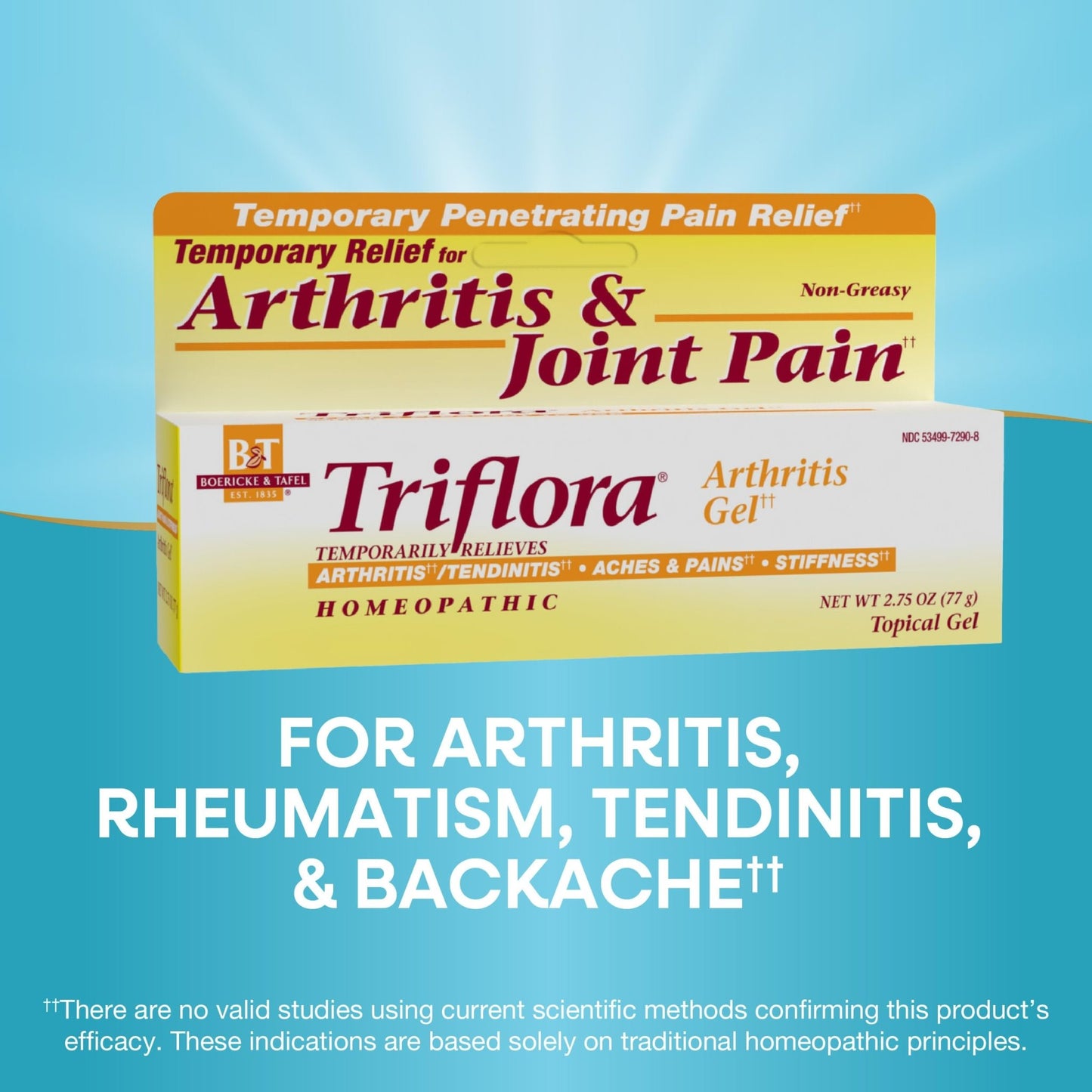 Boericke and Tafel Triflora Arthritis Gel, 2.75 Ounce - dailyvitalstore