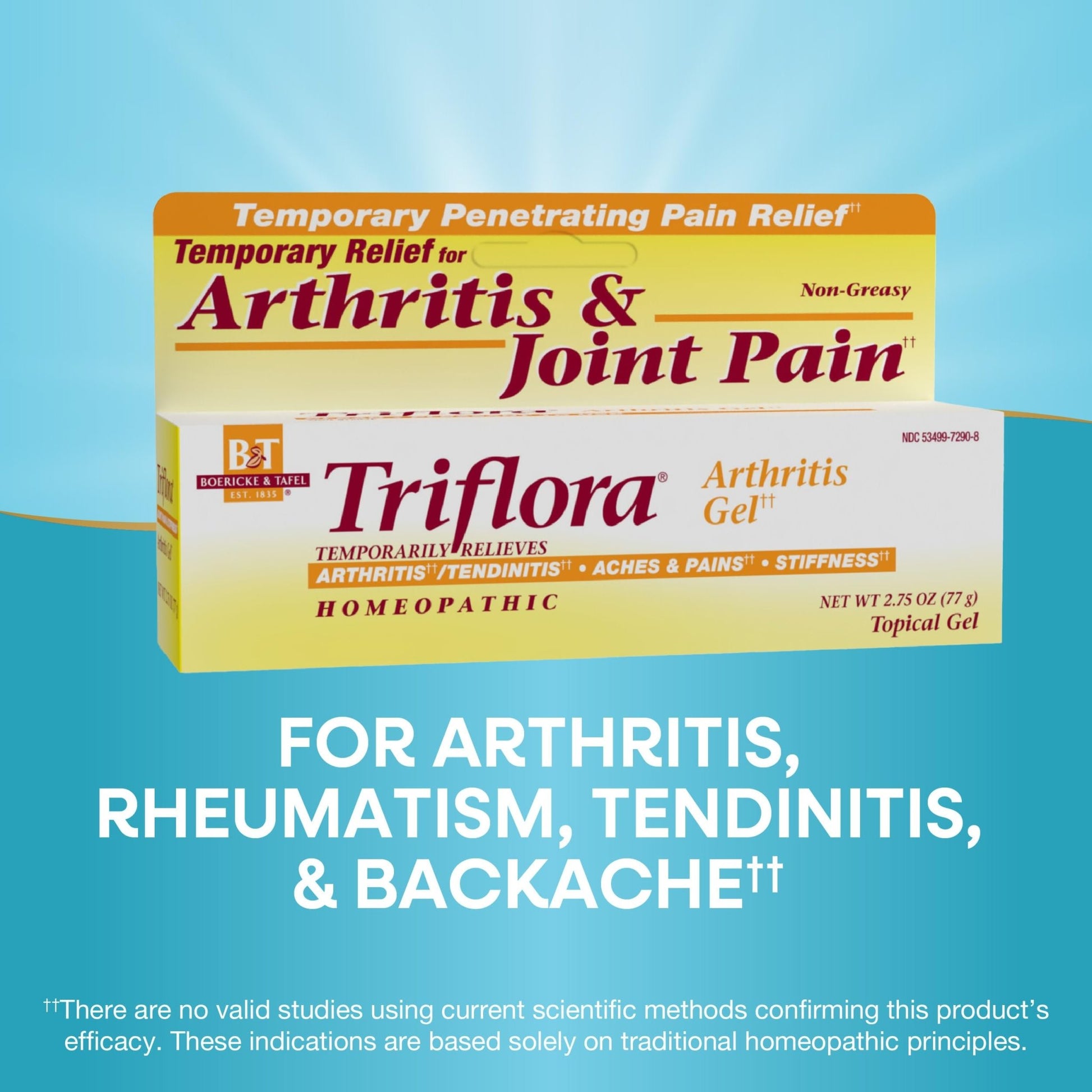 Boericke and Tafel Triflora Arthritis Gel, 2.75 Ounce - dailyvitalstore
