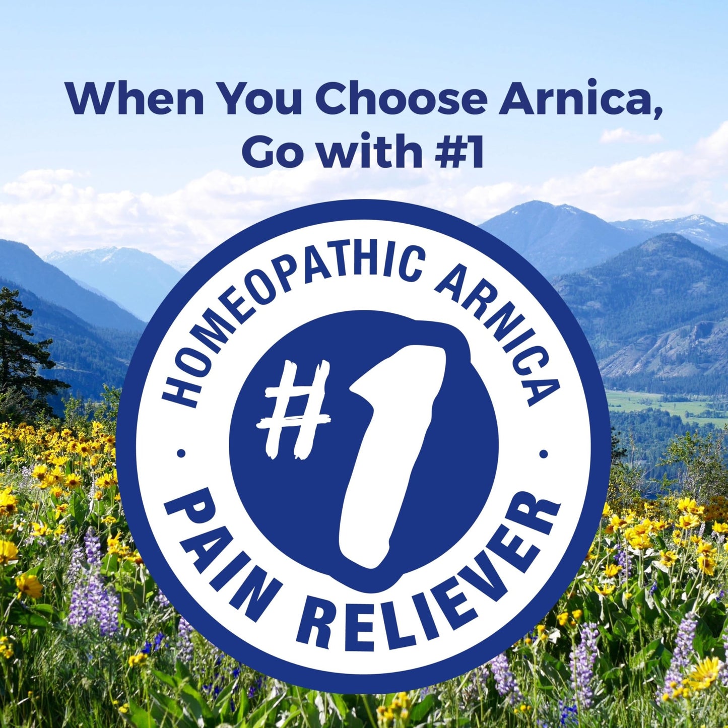Boiron Arnica Montana 30X Homeopathic Medicine for Relief from Muscle Pain, Muscle Stiffness, Swelling from Injury, and Discoloration from Bruises - 3 Count (240 Pellets) - dailyvitalstore