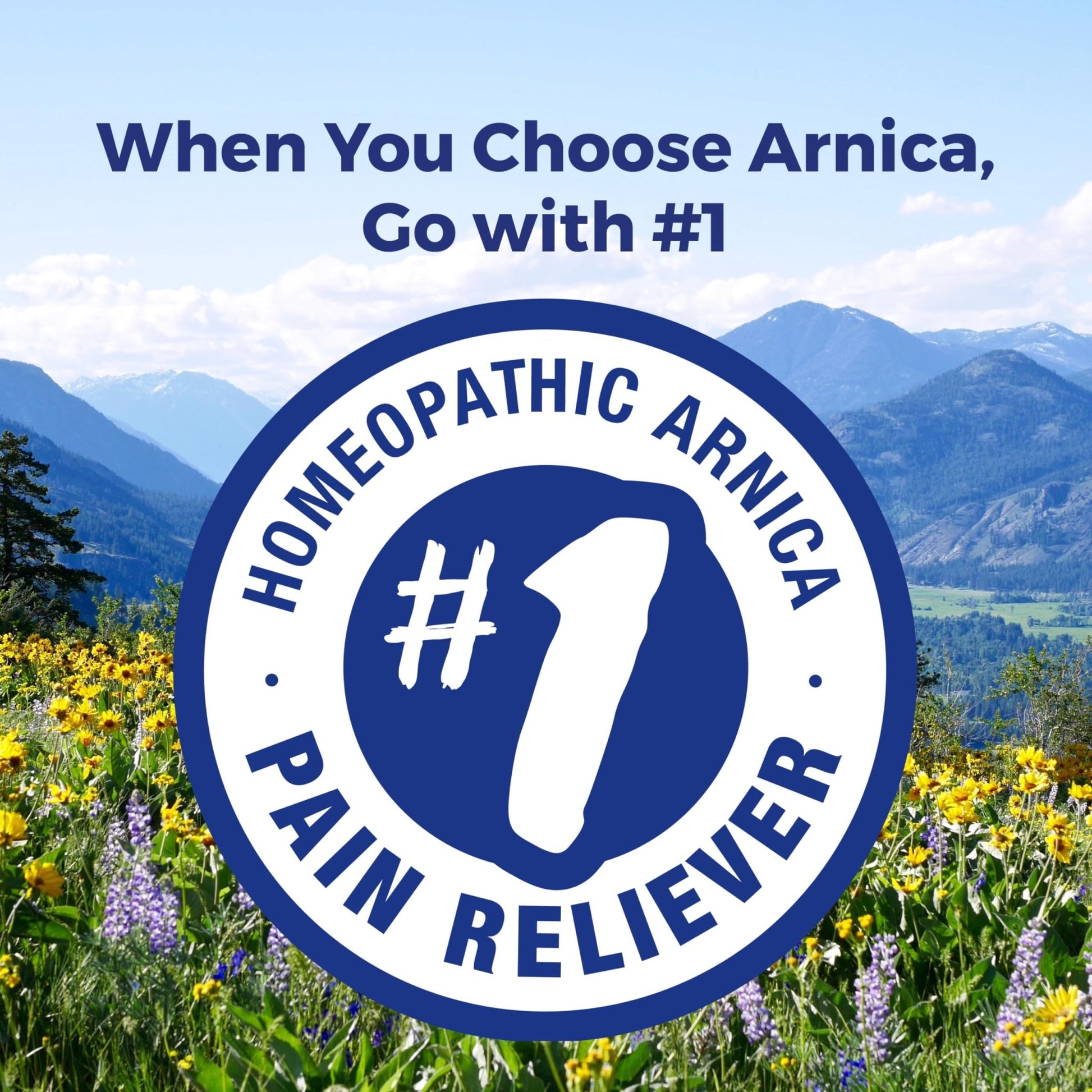 Boiron Arnica Montana 30X Homeopathic Medicine for Relief from Muscle Pain, Muscle Stiffness, Swelling from Injury, and Discoloration from Bruises - 3 Count (240 Pellets) - dailyvitalstore