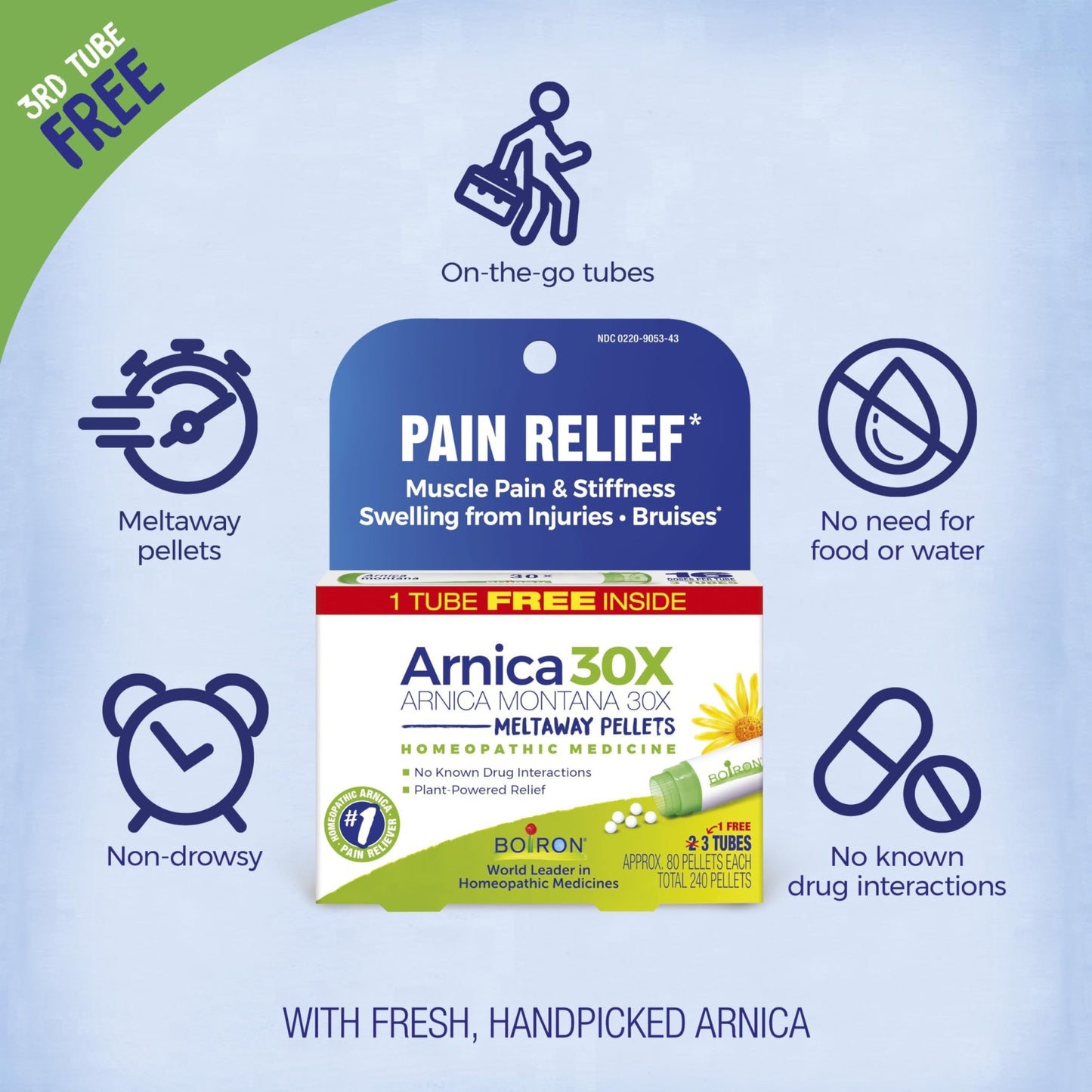 Boiron Arnica Montana 30X Homeopathic Medicine for Relief from Muscle Pain, Muscle Stiffness, Swelling from Injury, and Discoloration from Bruises - 3 Count (240 Pellets) - dailyvitalstore