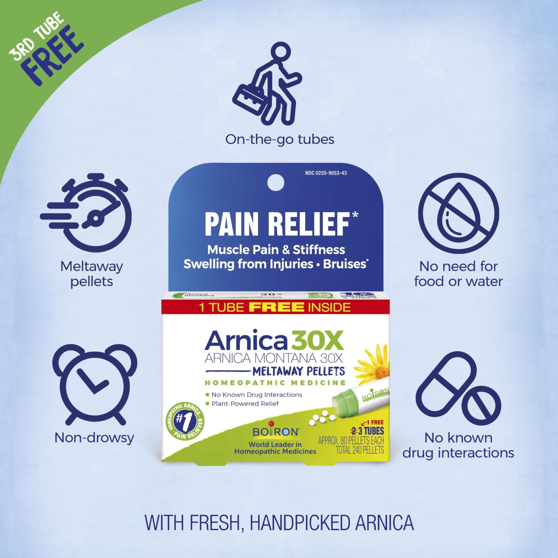 Boiron Arnica Montana 30X Homeopathic Medicine for Relief from Muscle Pain, Muscle Stiffness, Swelling from Injury, and Discoloration from Bruises - 3 Count (240 Pellets) - dailyvitalstore