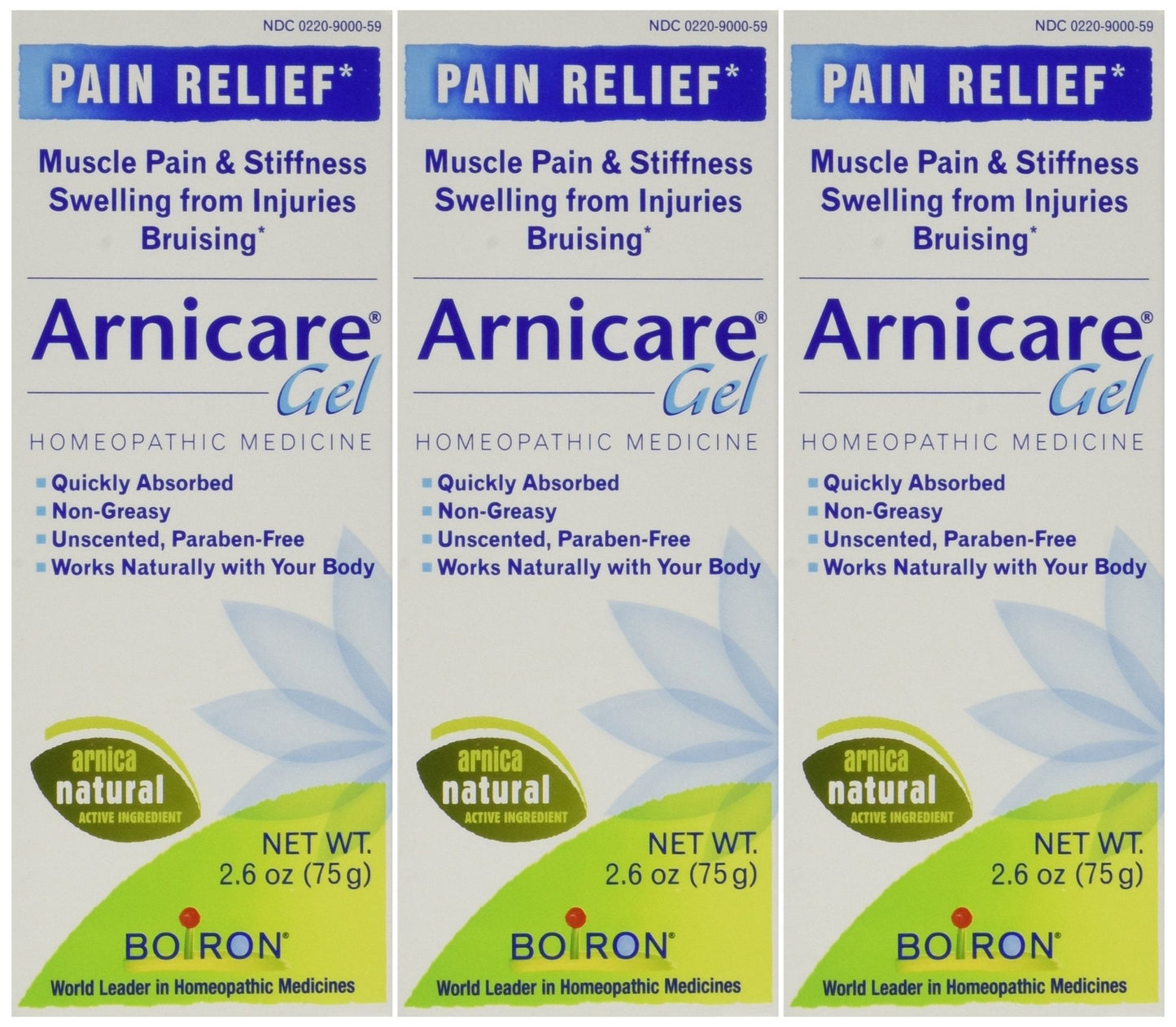 Boiron Arnicare Arnica Gel, 2.6 Ounce (Pack of 3) - dailyvitalstore