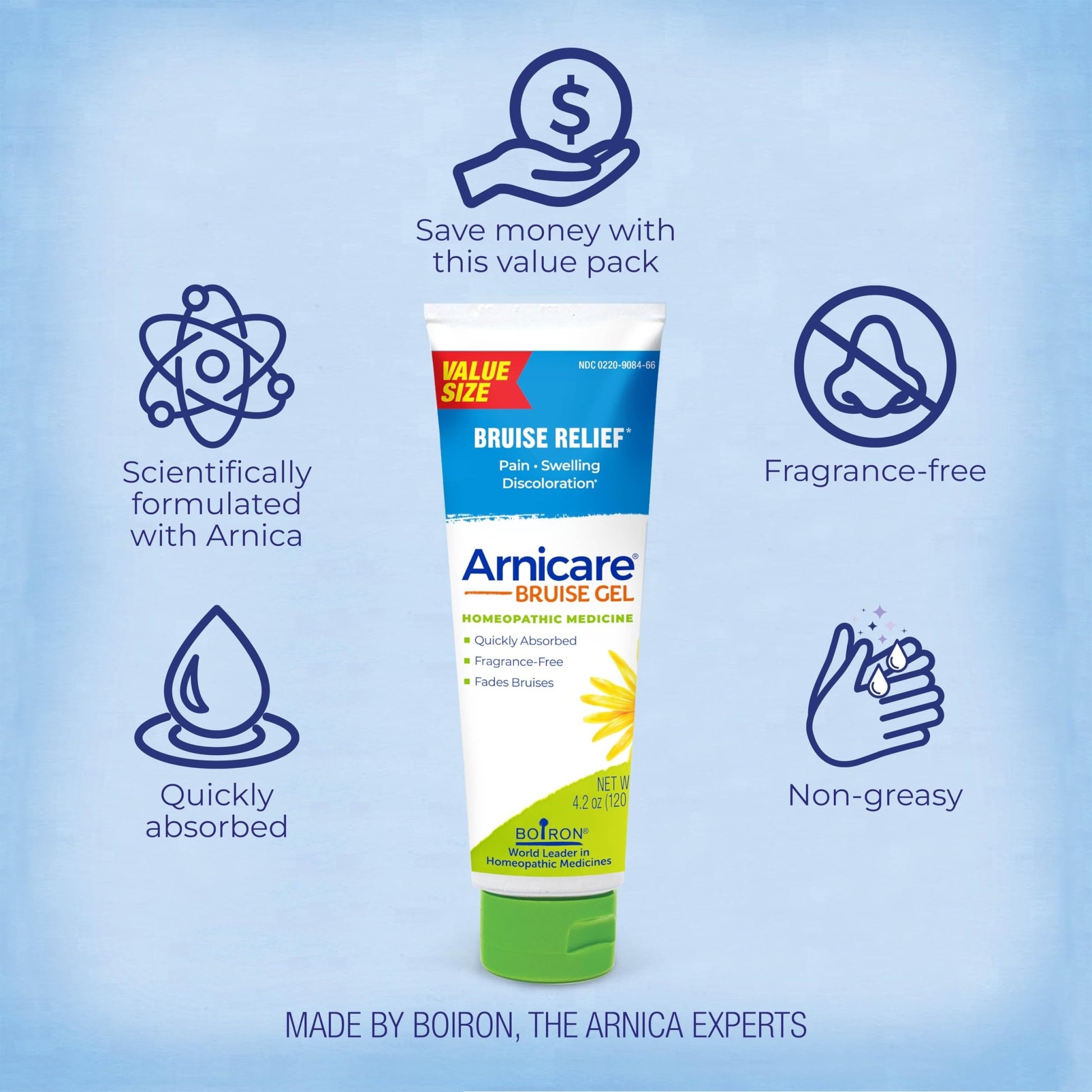 Boiron Arnicare Bruise Gel for Pain, Inflammation or Swelling, Soreness, and Discoloration - Non-greasy and Fragrance-Free - 4.2 oz - dailyvitalstore