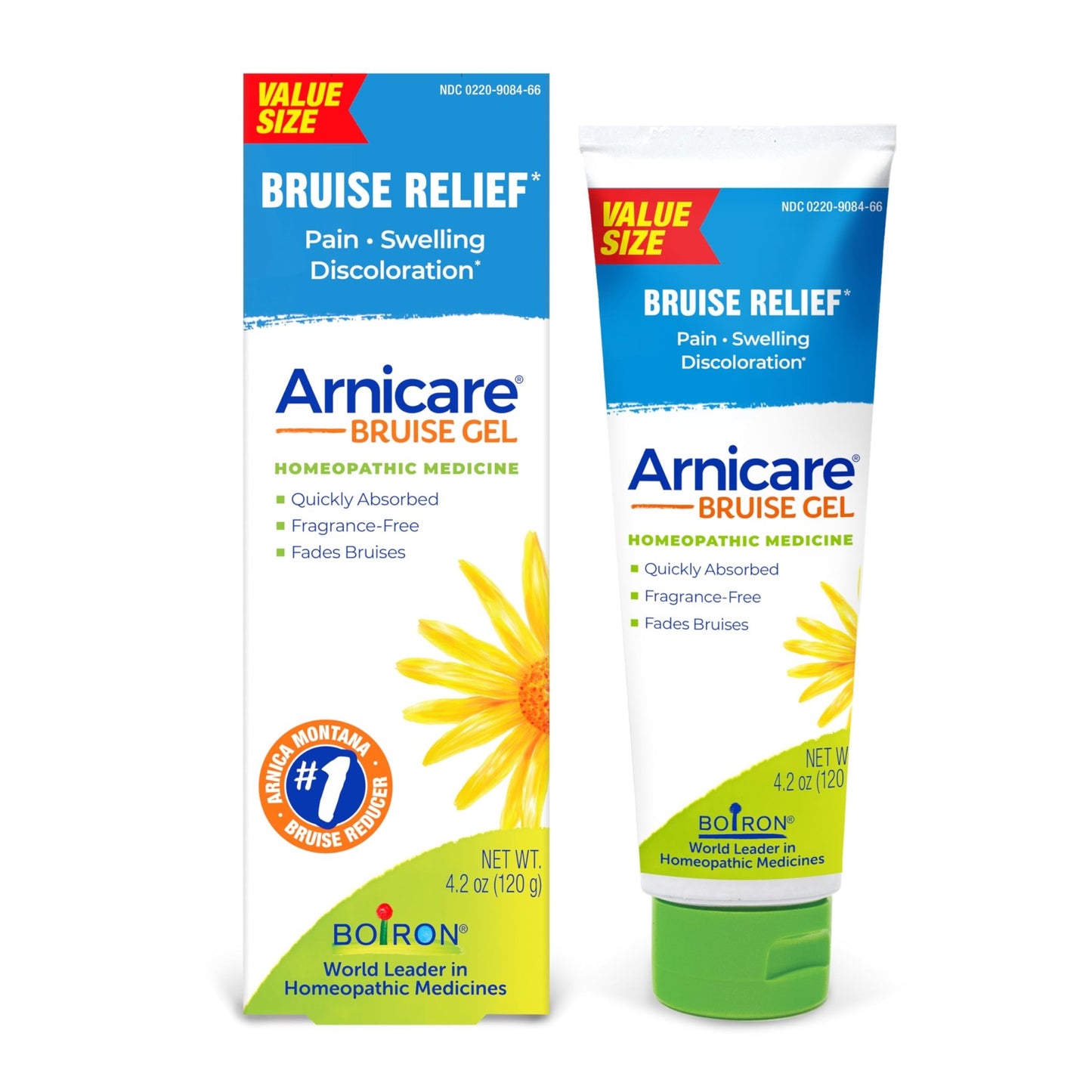 Boiron Arnicare Bruise Gel for Pain, Inflammation or Swelling, Soreness, and Discoloration - Non-greasy and Fragrance-Free - 4.2 oz - dailyvitalstore