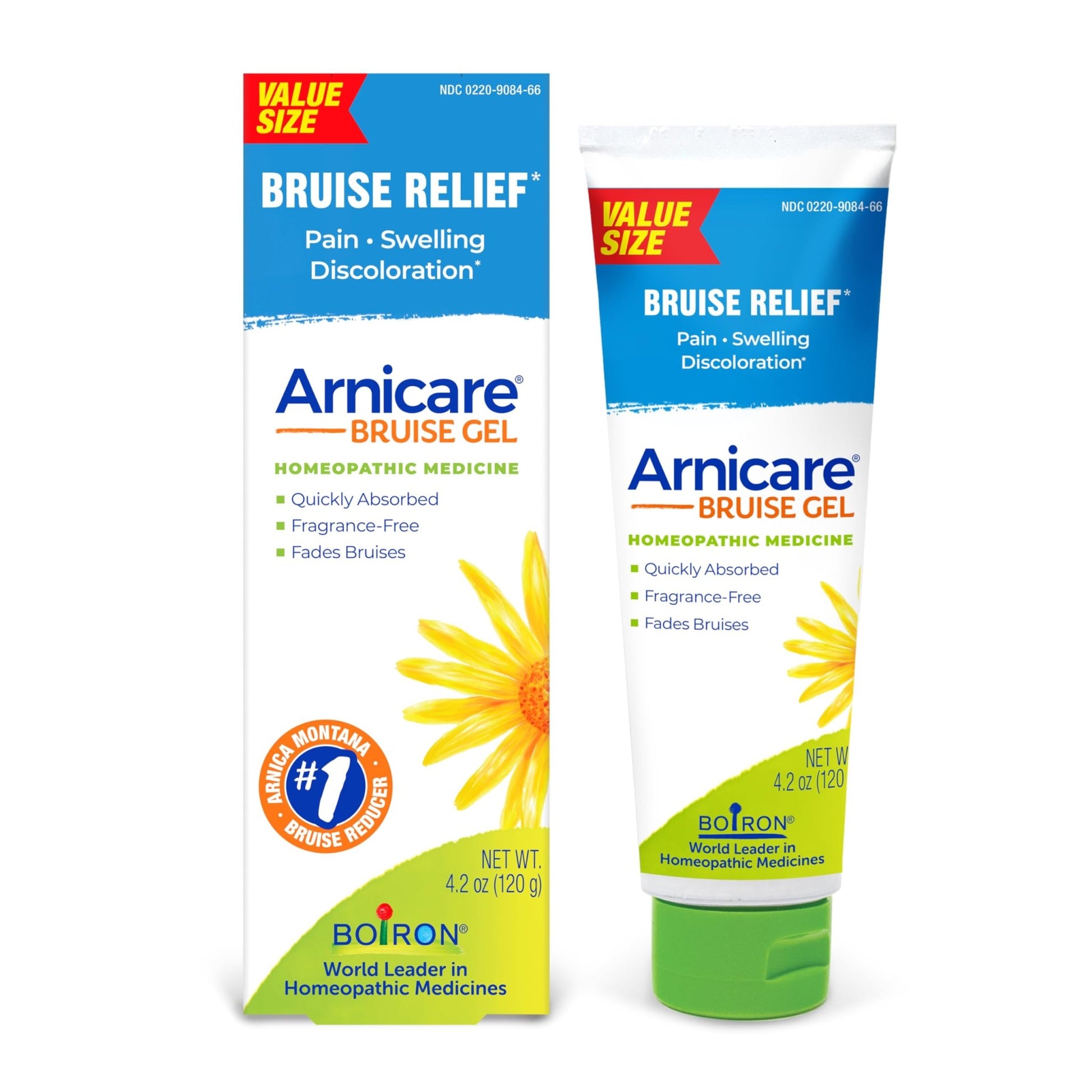 Boiron Arnicare Bruise Gel for Pain, Inflammation or Swelling, Soreness, and Discoloration - Non-greasy and Fragrance-Free - 4.2 oz - dailyvitalstore