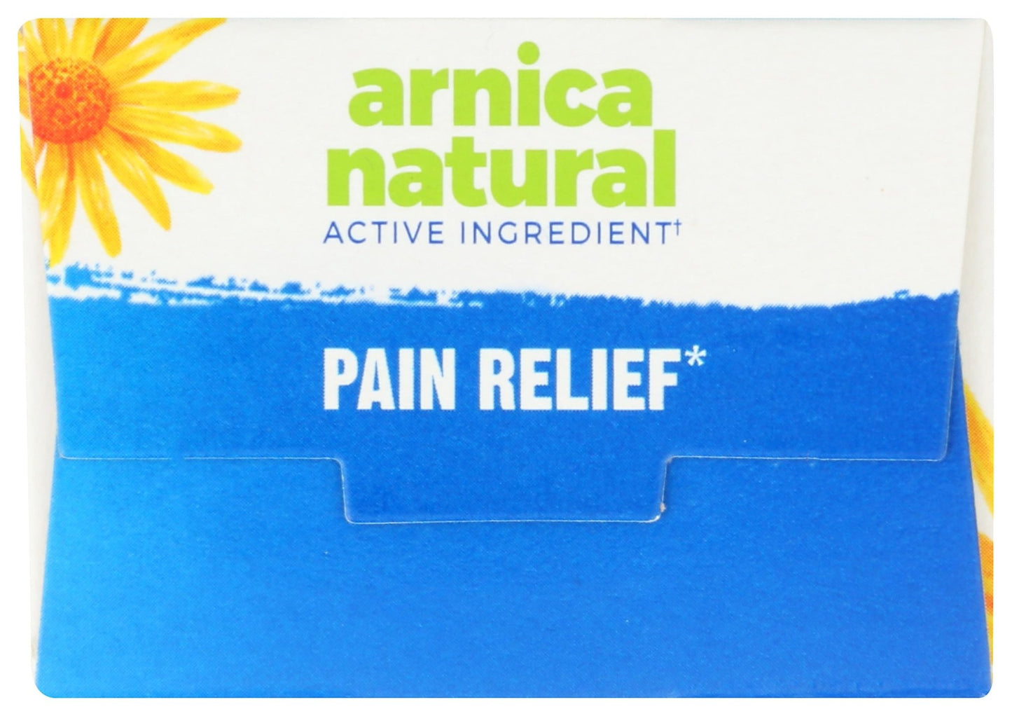 Boiron Arnicare Cream for Joint Pain, Muscle Pain, Swelling, Soreness, Stiffness, and Bruises - Fast Absorbing and Fragrance-Free - 4.2 oz - dailyvitalstore