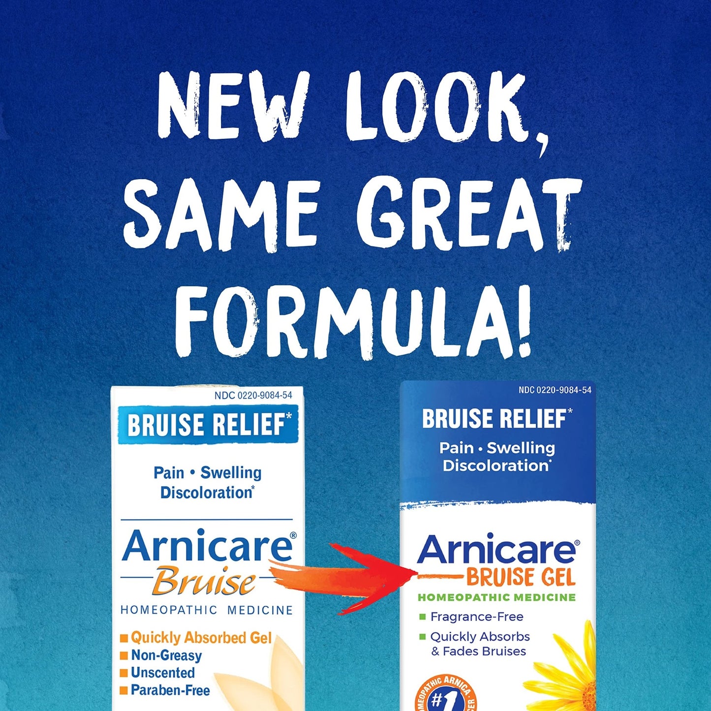 Boiron Arnicare Gel & Bruise Gel Bundle for Soothing Relief of Joint & Muscle Pain, Bruises or Injury - Unisex-Adults & Kids - dailyvitalstore