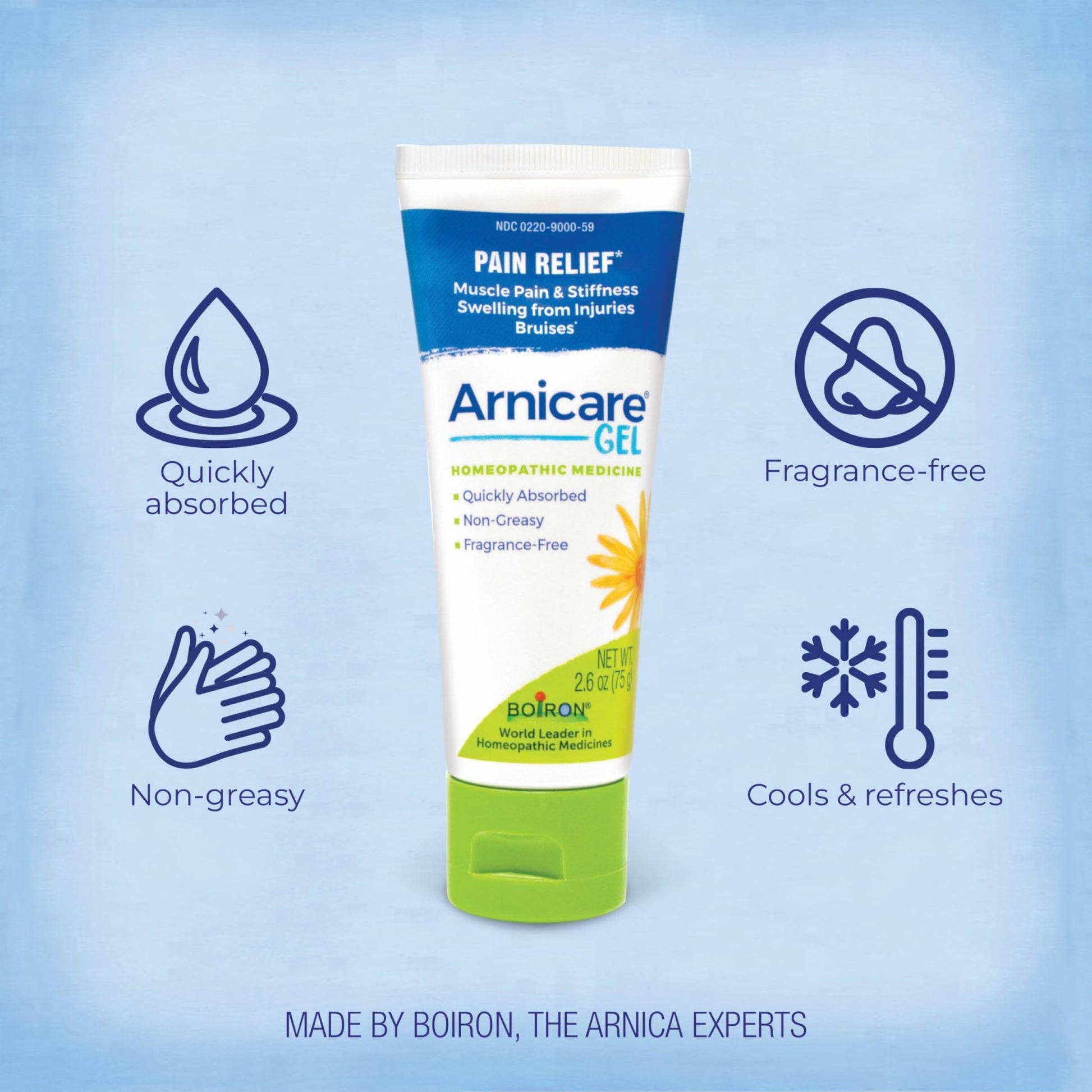 Boiron Arnicare Gel for Joint Pain, Muscle Pain, Swelling, Soreness, and Stiffness - Non-greasy and Fragrance-Free - 2.6 oz - dailyvitalstore
