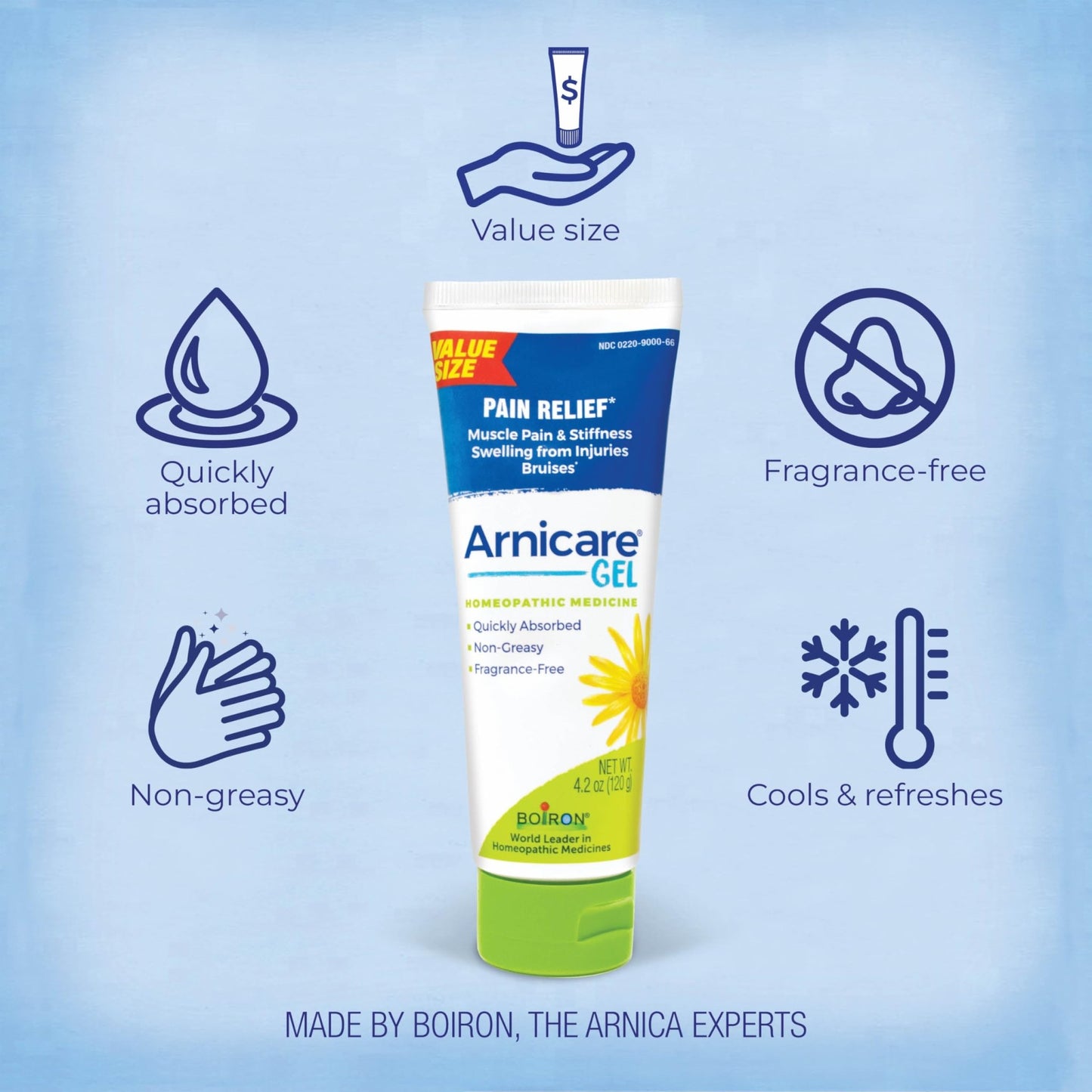 Boiron Arnicare Gel for Relief of Joint Pain, Muscle Pain, Muscle Soreness, and Swelling from Bruises or Injury - Non-greasy and Fragrance-Free - 4.2 oz - dailyvitalstore