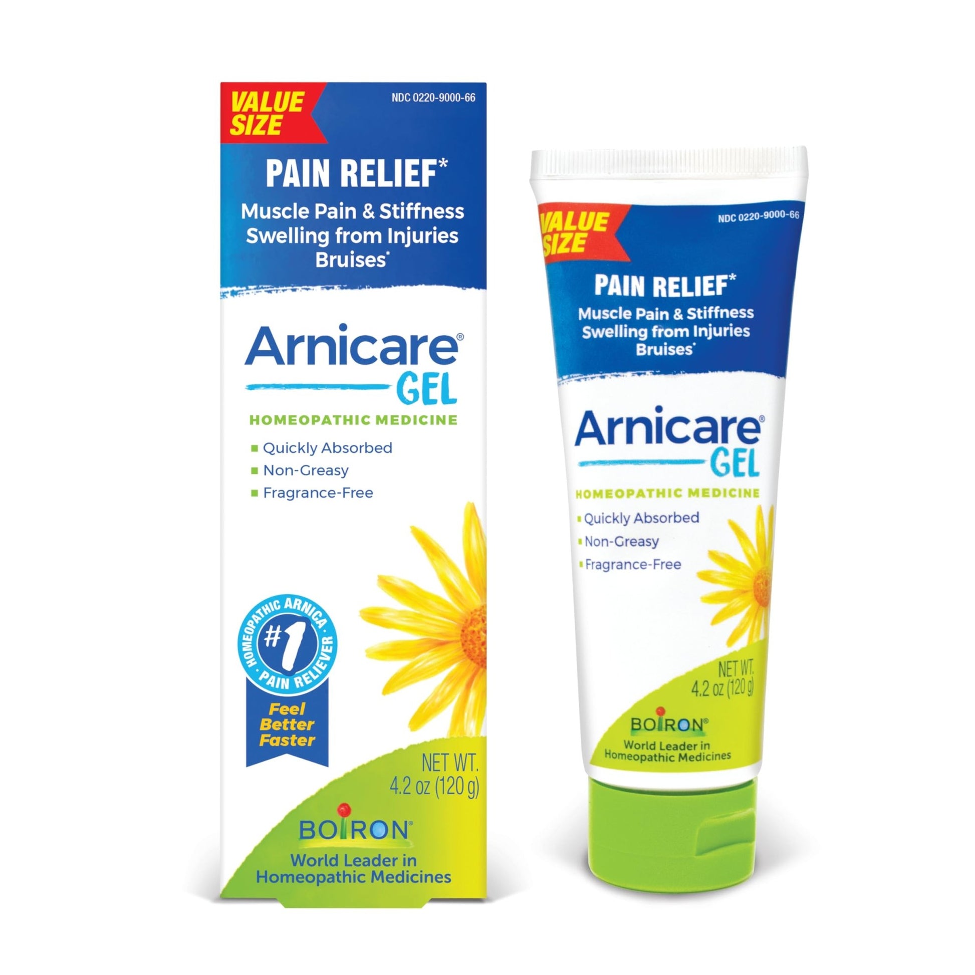 Boiron Arnicare Gel for Relief of Joint Pain, Muscle Pain, Muscle Soreness, and Swelling from Bruises or Injury - Non-greasy and Fragrance-Free - 4.2 oz - dailyvitalstore