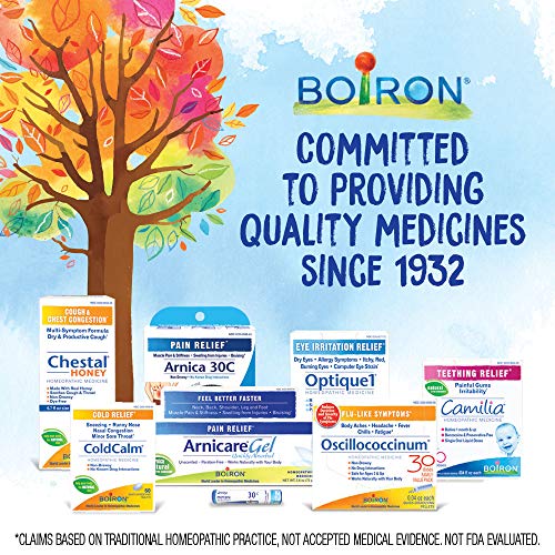 Boiron Bryonia 6X Homeopathic Medicine for Muscle & Joint Pain - 80 Pellets - dailyvitalstore