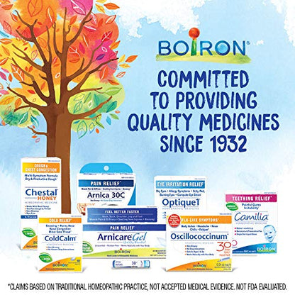 Boiron Bryonia 6X Homeopathic Medicine for Muscle & Joint Pain - 80 Pellets - dailyvitalstore