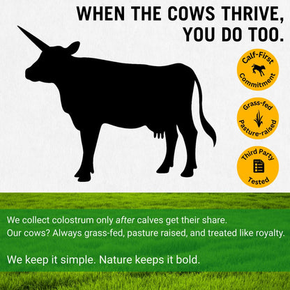 Bold Belly Colostrum Powder Supplement - Whole Cream Bovine Colostrum for Gut & Immune Support, Grass-Fed USA Cows, Cold-Processed - dailyvitalstore