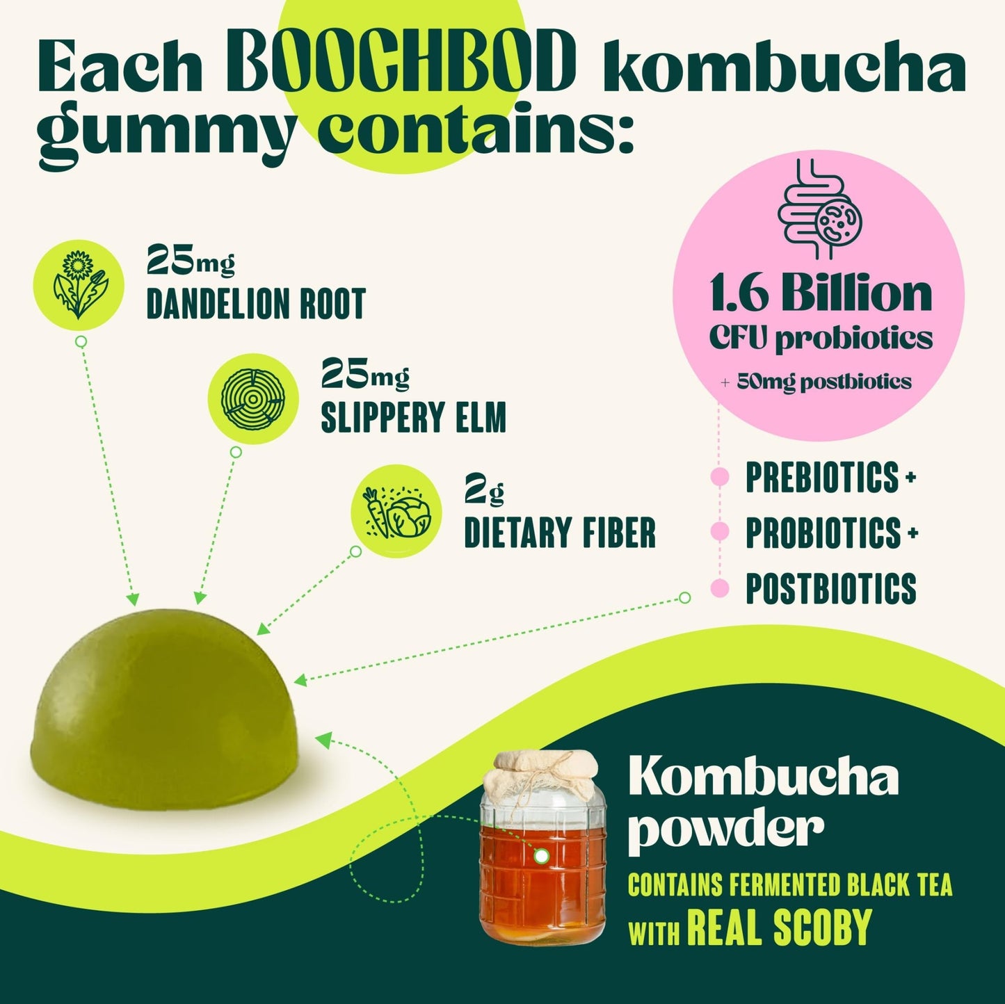 BoochBod - Probiotic Kombucha Gummy - Prebiotics, Probiotics, Postbiotics, Fiber Supplement, Slippery Elm, Dandelion Root, for Bloating, Gut Health - dailyvitalstore
