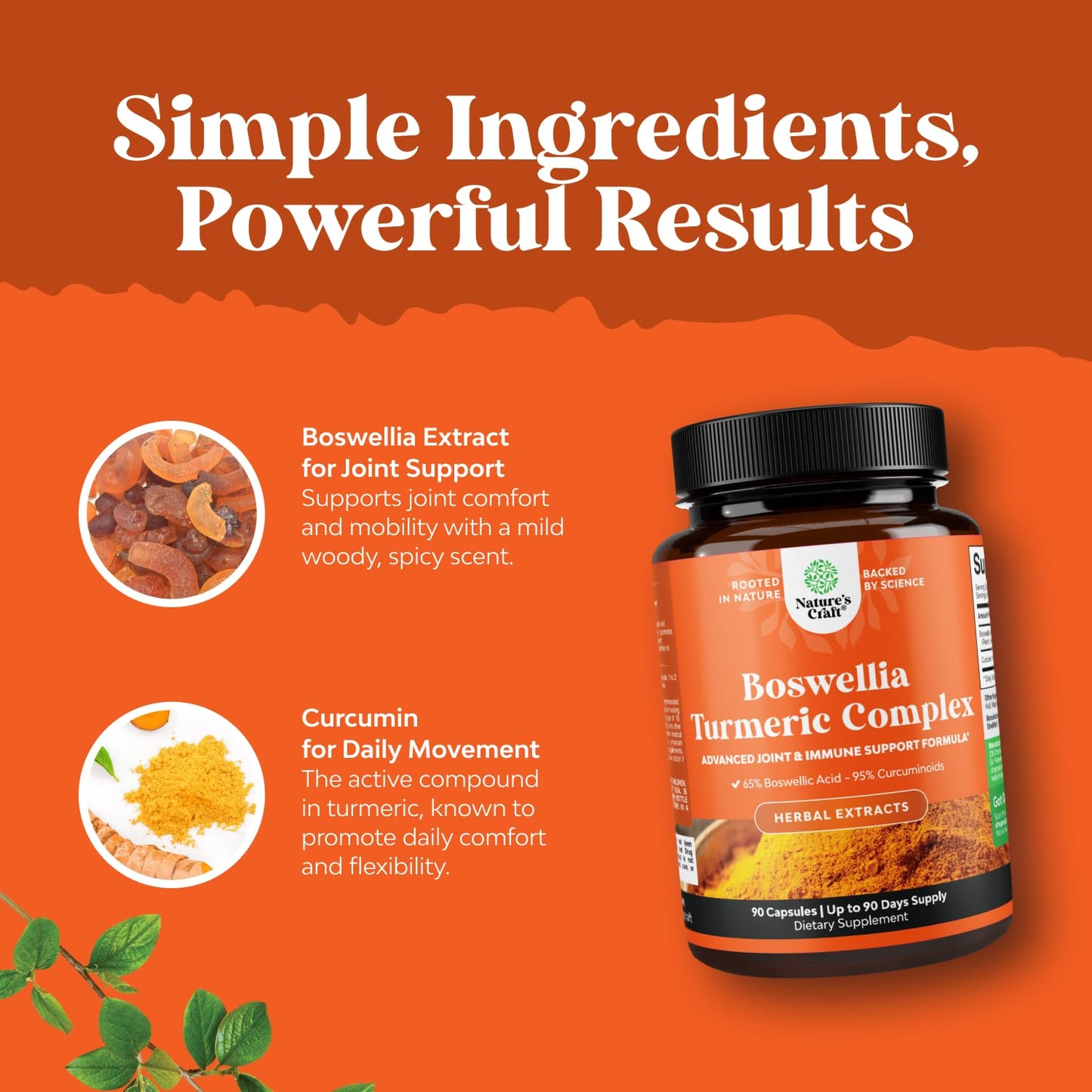Boswellia Extract Capsules with Turmeric - Advanced Immune Health Support Supplement - Turmeric & Boswellia Serrata Capsules 500mg per Serving for Body Detox & Healthy Joints - 90 Count - dailyvitalstore
