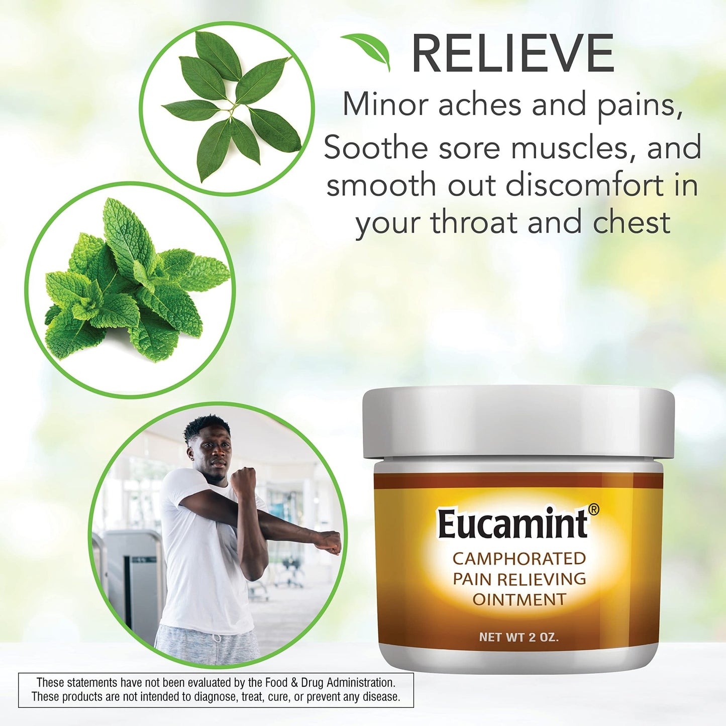 Botanic Choice Eucamint-Pain Relieving Ointment-Muscle, Joints, Sinus, Coughs - dailyvitalstore