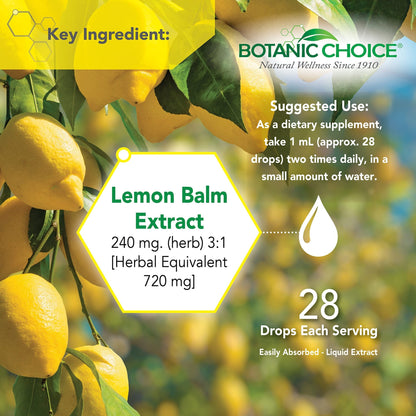 Botanic Choice Mega Fruits and Veggies Blend (60 Capsules) + Lemon Balm Tincture (1 fl oz) Bundle - Energy Balance & Superfood Supplement + Relaxation and Sleep Support - dailyvitalstore
