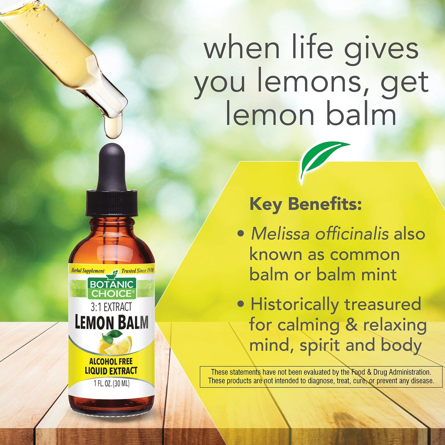 Botanic Choice Mega Fruits and Veggies Blend (60 Capsules) + Lemon Balm Tincture (1 fl oz) Bundle - Energy Balance & Superfood Supplement + Relaxation and Sleep Support - dailyvitalstore