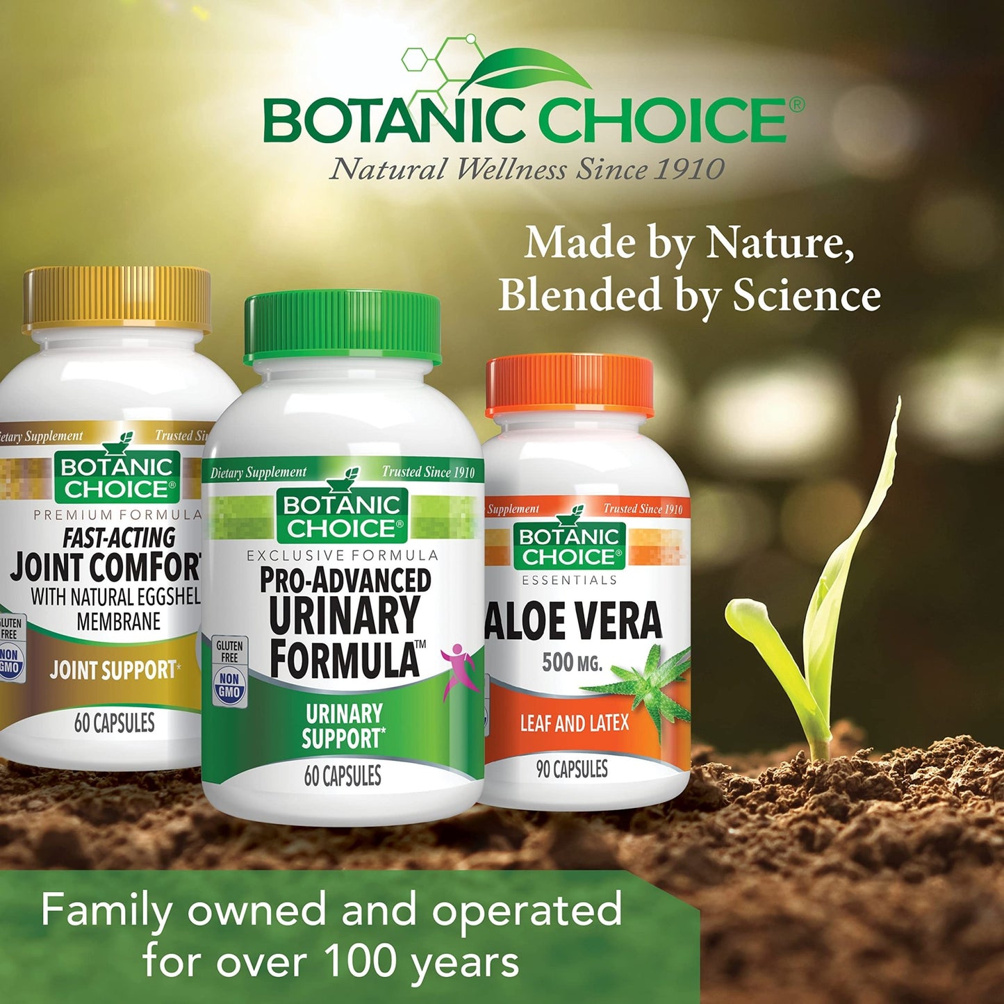 Botanic Choice Pro-Advanced Urinary Formula-Blend for Urinary Tract Health Support - Magnesium Cranberry Uva Ursi Damiana - 60 Capsules - dailyvitalstore