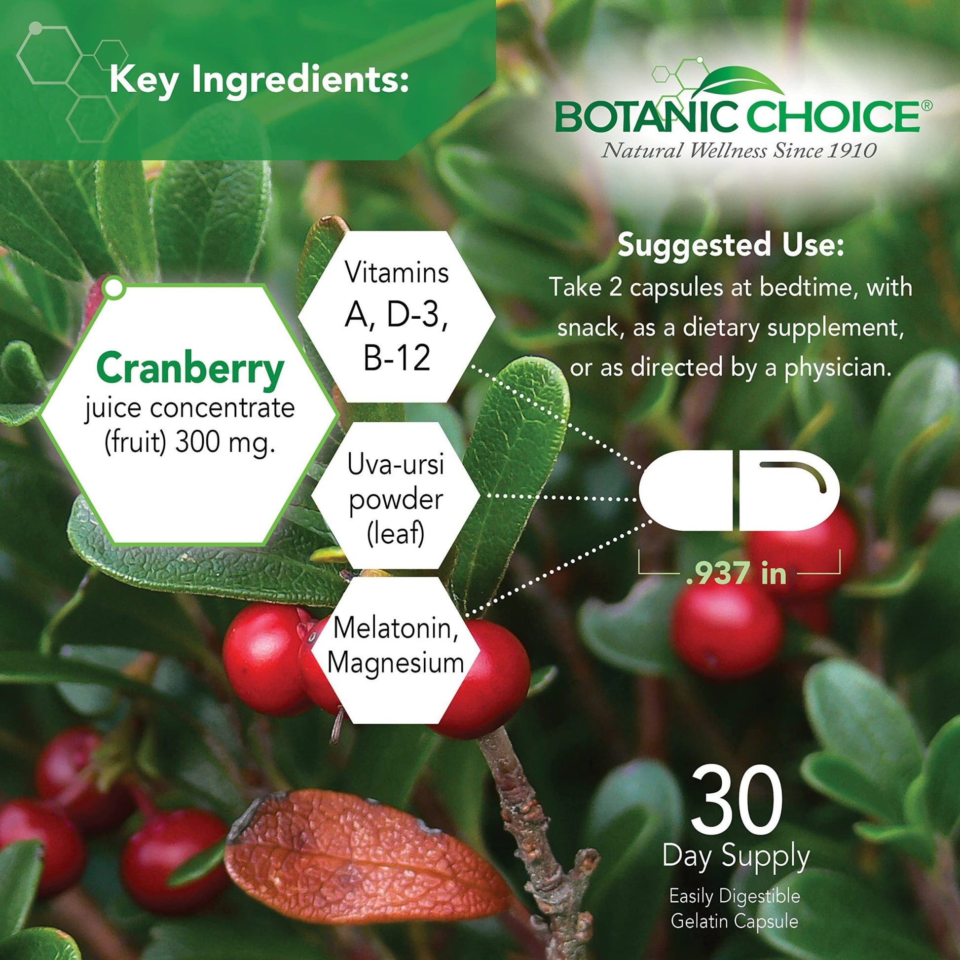 Botanic Choice Pro-Advanced Urinary Formula-Blend for Urinary Tract Health Support - Magnesium Cranberry Uva Ursi Damiana - 60 Capsules - dailyvitalstore