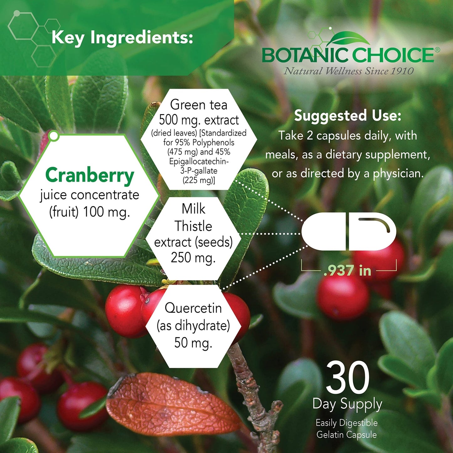 Botanic Choice Ultra Kidney Complex - Optimal Kidney Support with Milk Thistle, Green Tea & More- 60 Capsules - dailyvitalstore