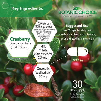 Botanic Choice Ultra Kidney Complex - Optimal Kidney Support with Milk Thistle, Green Tea & More- 60 Capsules - dailyvitalstore