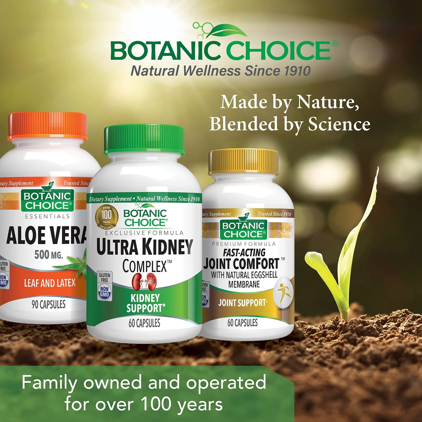 Botanic Choice Ultra Kidney Complex - Optimal Kidney Support with Milk Thistle, Green Tea & More- 60 Capsules - dailyvitalstore