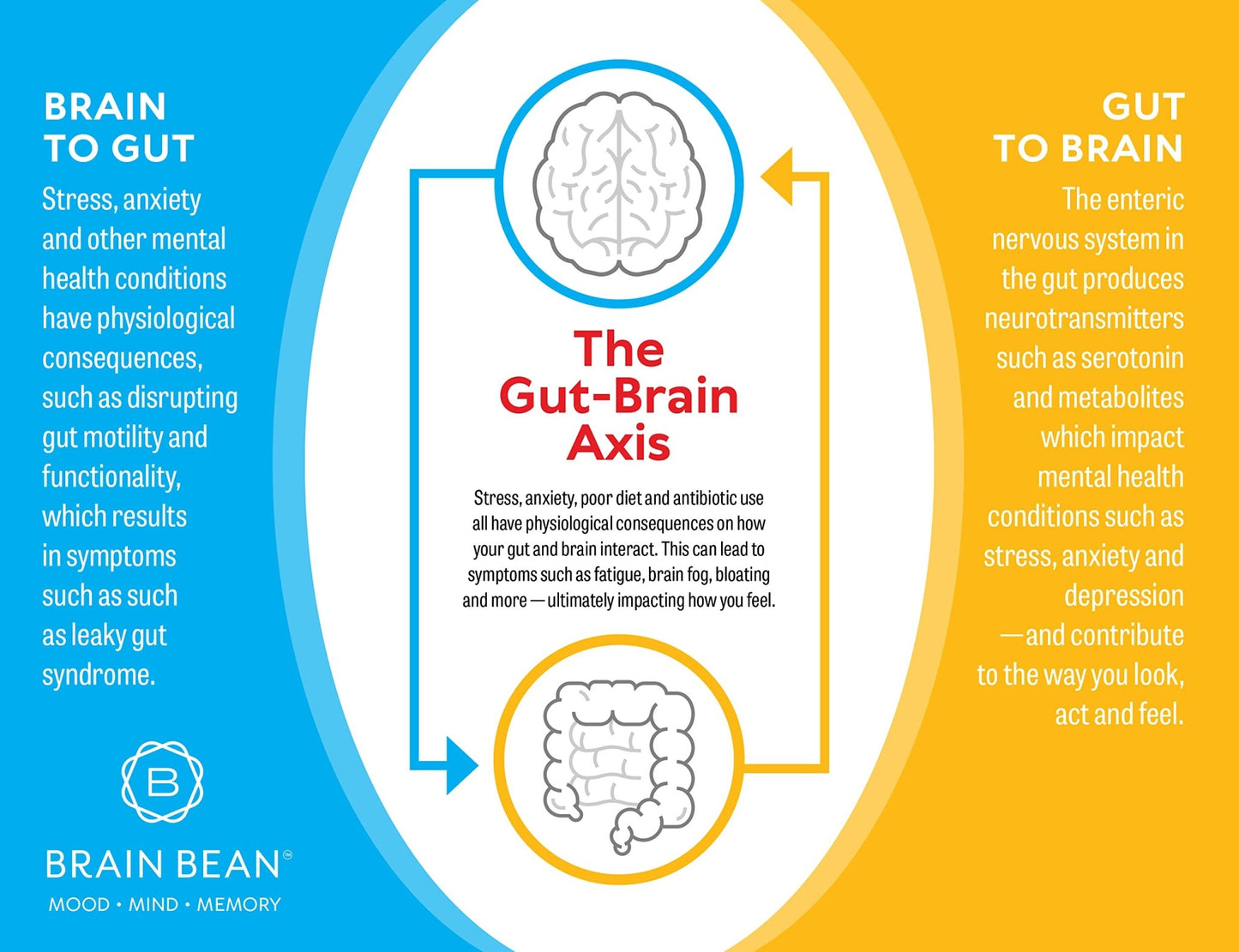 Brain Basics Ultra Pure IgG Supplement - Dairy-Free Supplement IgG-Immunolin Powder, Blended Vitamin & Mineral Supplements, 150g, 60 Servings - dailyvitalstore