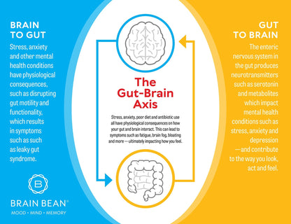 Brain Basics Ultra Pure IgG Supplement - Dairy-Free Supplement IgG-Immunolin Powder, Blended Vitamin & Mineral Supplements, 150g, 60 Servings - dailyvitalstore