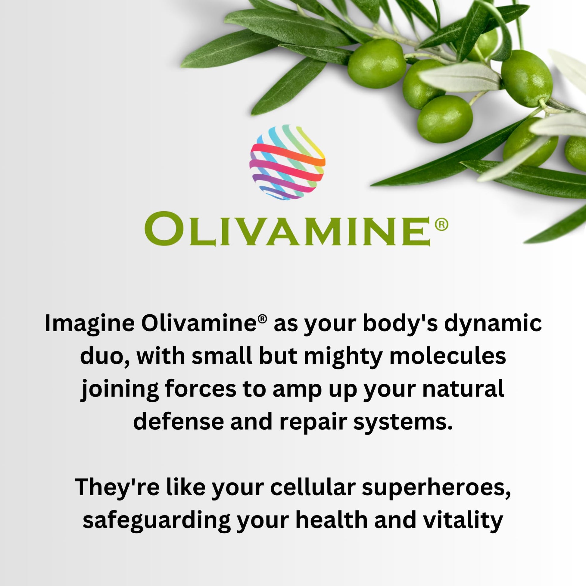 BrainHealth Brain Supplement - Amplify Memory, Increase Focus, Enhance Clarity & Gain Productivity For Men & Women, Olivamine, Vitamin D, Vitamin B6 & B12, Rhodiola Rosea, Magnesium, Taurine - dailyvitalstore