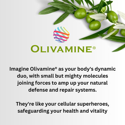BrainHealth Brain Supplement - Amplify Memory, Increase Focus, Enhance Clarity & Gain Productivity For Men & Women, Olivamine, Vitamin D, Vitamin B6 & B12, Rhodiola Rosea, Magnesium, Taurine - dailyvitalstore
