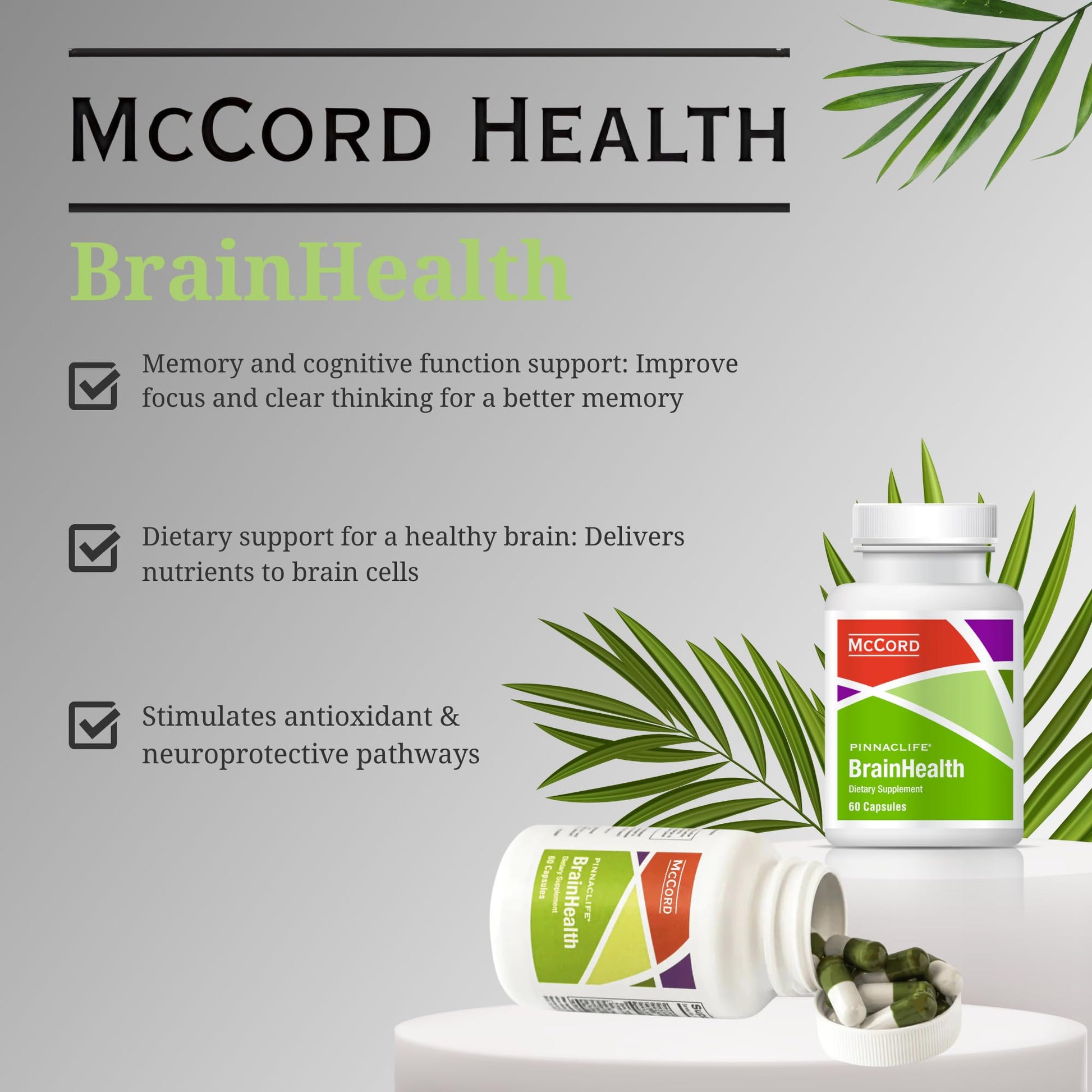 BrainHealth Brain Supplement - Amplify Memory, Increase Focus, Enhance Clarity & Gain Productivity For Men & Women, Olivamine, Vitamin D, Vitamin B6 & B12, Rhodiola Rosea, Magnesium, Taurine - dailyvitalstore