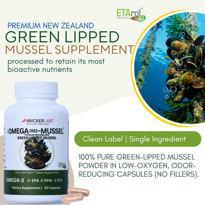 Bricker Labs Omega Cyclo - Mussel Joint Health Supplement, Premium New Zealand Green Lipped Mussel, Full Spectrum Omega Joint Supplements for Joint Health and Comfort, 90 Capsules - dailyvitalstore